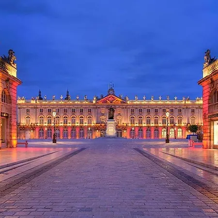 Διαμέρισμα 9 Place D'alliance Νανσύ